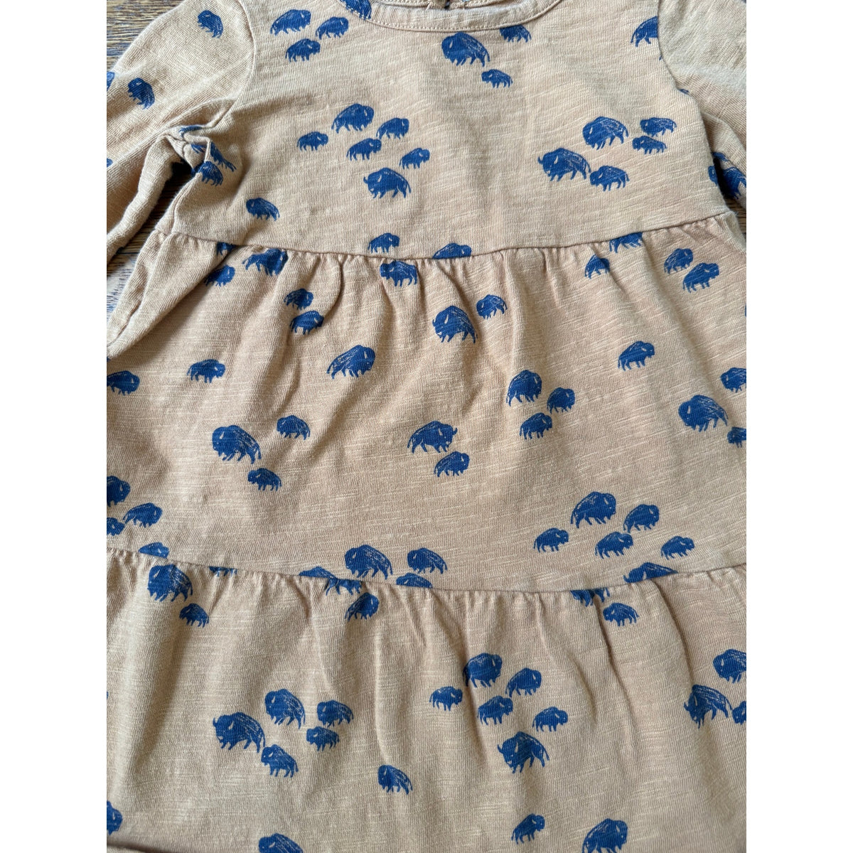 Little Co Girls' Bison Print Dress Size 2